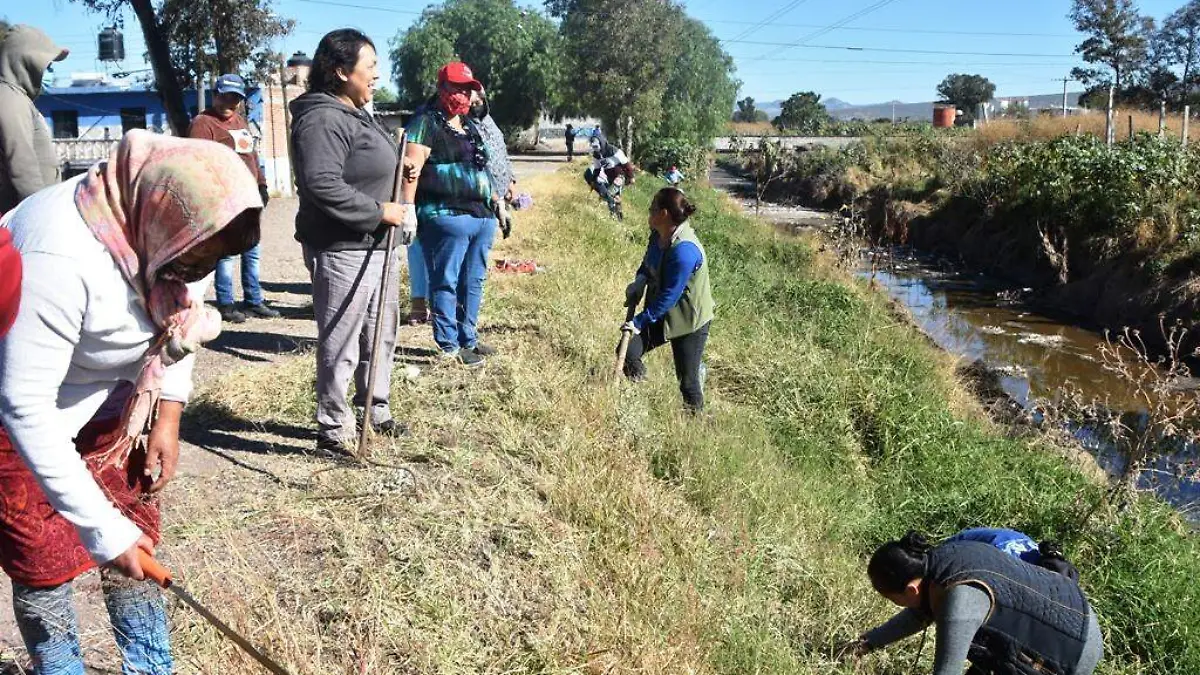 Ciudadanos limpian  Arroyo  Feo y predios baldíos   3